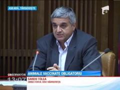 Animalele vaccinate antirabic