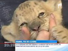 Cel mai frumos pestisor din lume