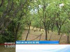 Inca un om ucis de urs in Dambovita