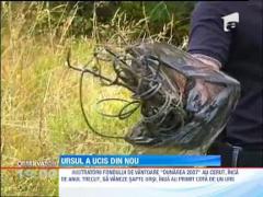 UPDATE /  Inca un om ucis de urs in Dambovita