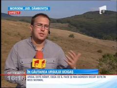 Vanatori si caini de urma, in cautarea ursului ucigas