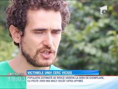 Ursul ucigas din Dambovita nu a fost gasit inca gasit