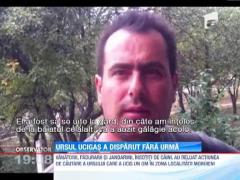 Ursul ucigas a disparut fara urma