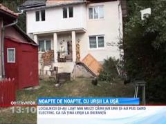 Localnicii din Valea Prahovei, vizati de ursi