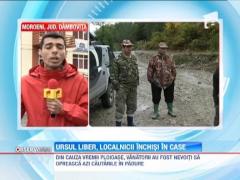 Ursul ucigas din Dambovita, de negasit