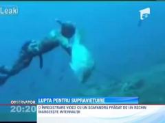 Scafandru talharti de un rechin