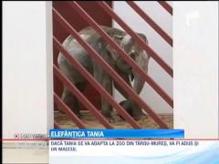 Observator 13 Weekend