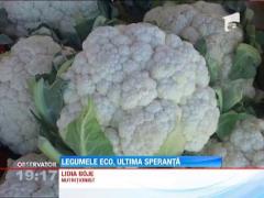 Cea mai mare salata din lume a fost pregatita la Bucuresti