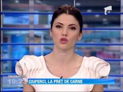 Observator de weekend