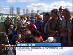 Spectacol cu cai de rasa, la Gheorgheni