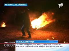 Patrule anti-ursi in Dambovita si Arges