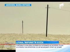 Cartier scotian acoperit cu spuma din cauza unei furtuni puternice