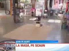 Starship, cainele care isi primeste mancarea intr-un scaun de masa