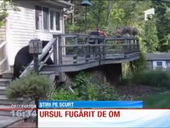 Cel mai fricos urs din lume