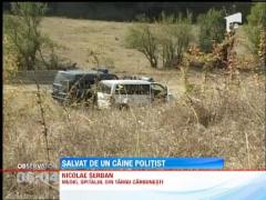 Copilul disparut la Targu-Carbunesti a fost gasit in viata