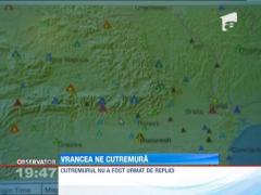 Cutremur de 4,2 grade pe scara Richter in Vrancea