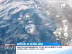 Un american a reusit sa se apropie foarte mult de un rechin balena