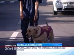 Un olimpic orb si cu auzul aproape pierdut are nevoie de ajutorul nostru!