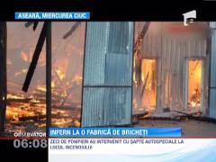 O fabrica de bricheti din rumegus din Miercurea Ciuc s-a facut scrum