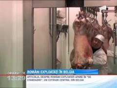 Sute de romani sunt exploatati in macelariile belgiene