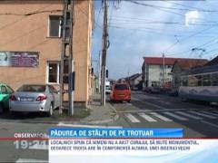 Padure de stalpi pe doua strazi modernizate din Arad