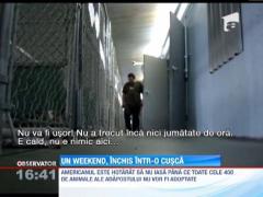 A decis sa stea intr-o cusca pentru a incuraja oamenii sa adopte animale parasite