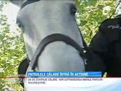 Politia Locala reintroduce patrulele calare in parcuri