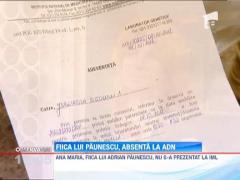 Proces cu piedici in familia Paunescu
