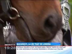 UPDATE / Patrule calare in parcuri