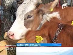 Targul Laptarilor din Campulung Moldovenesc