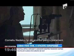 Roman folosit, fara voie, pentru teste clinice