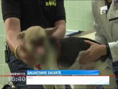 Un caine a ramas mutilat dupa ce a salvat vietile a doua copii