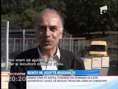 O fundatie din Germania adopta 30 de maidanezi din Sibiu