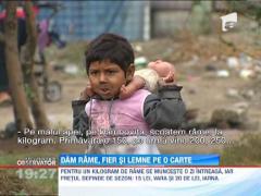 Dam rame, fier, si lemne pe o carte