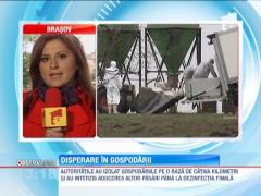 Focar de pseudopesta aviara in judetul Brasov