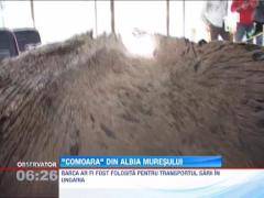 Barca veche de cateva secole, descoperita de arheologi in albia Muresului