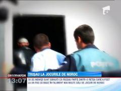 19 indivizi suspectati ca au trisat la pacanele, retinuti de procurorii DIICOT