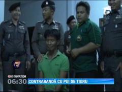 Contrabandist prins cu 16 pui de tigru