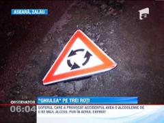 Un sofer beat a facut prapad in centrul Zalaului