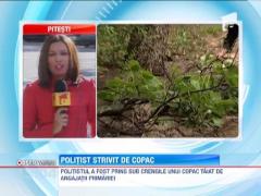 Politist strivit de crengile unui copac