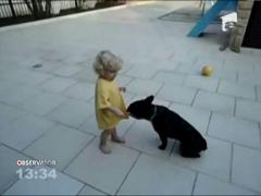 Un copil imparte inghetata cu un caine