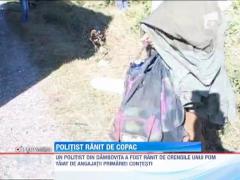 UPDATE / Politist strivit de crengile unui copac