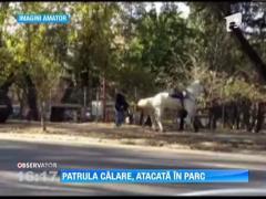 Patrula calare atacata in parc de un caine periculos