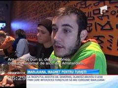 Turistii vor putea fuma marijuana si anul viitor in cafenelele din Amsterdam