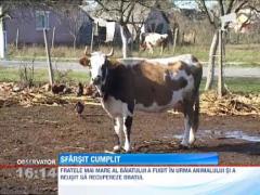 A murit pe masa de operatie, in timp ce medicii incercau sa-i puna bratul la loc