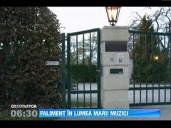 Austria: Comerciant de viori Stradivarius  condamnat la sase ani de inchisoare