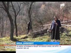 Politistii si jandarmi din Vulcan au scapat un urs dintr-o capcana