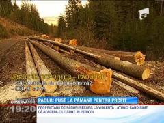 Romania isi taie copacii fara mila si fara discernamant