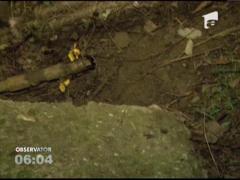 Doi hoti de titei au fost prinsi in flagrant pe un camp din Dambovita