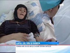 Rusia: O femeie s-a luptat cot la cot cu un lup pana l-a doborat